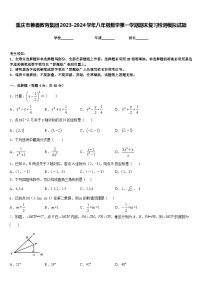 重庆市兼善教育集团2023-2024学年八年级数学第一学期期末复习检测模拟试题含答案