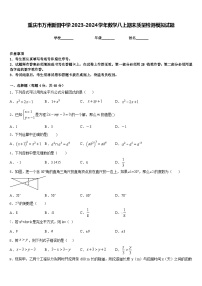 重庆市万州新田中学2023-2024学年数学八上期末质量检测模拟试题含答案