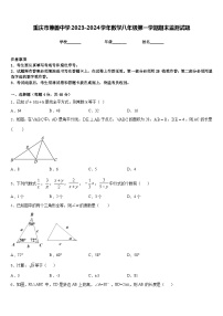 重庆市兼善中学2023-2024学年数学八年级第一学期期末监测试题含答案