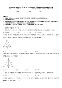 重庆市渝中区名校2023-2024学年数学八上期末综合测试模拟试题含答案