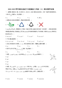 2022-2023学年湖北省咸宁市通城县八年级（上）期末数学试卷（含解析）