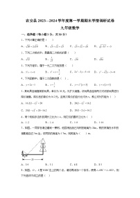 吉林省长春市农安县2023-2024学年九年级上学期期末数学试题（含解析）