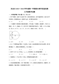 吉林省松原市扶余市2023-2024学年九年级上学期期末数学试题（含解析）