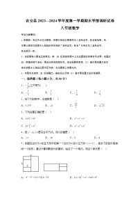 吉林省长春市农安县2023-2024学年八年级上学期期末数学试题（含解析）