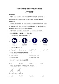 吉林省白城市通榆县2023-2024学年八年级上学期期末数学试题（含解析）