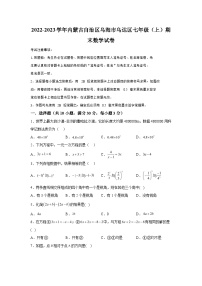 内蒙古自治区乌海市乌达区2022-2023学年七年级上学期期末数学试题（含解析）