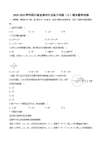 2022-2023学年四川省宜宾市江安县八年级（上）期末数学试卷（含解析）