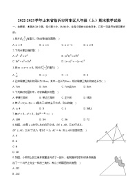 2022-2023学年山东省临沂市河东区八年级（上）期末数学试卷（含解析