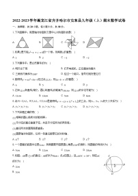 2022-2023学年黑龙江省齐齐哈尔市克东县九年级（上）期末数学试卷（含解析）