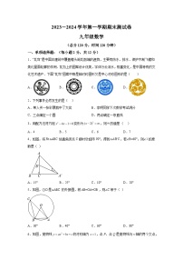 吉林省白城市通榆县2023-2024学年九年级上学期期末数学试题（含解析）