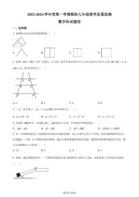 广东普宁2023-2024学年九年级上学期期末数学试题