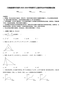 江西省宜春市丰城市2023-2024学年数学八上期末学业水平测试模拟试题含答案