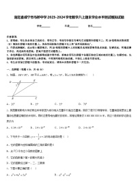 湖北省咸宁市马桥中学2023-2024学年数学八上期末学业水平测试模拟试题含答案