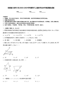 安徽省六安市三校2023-2024学年数学八上期末学业水平测试模拟试题含答案