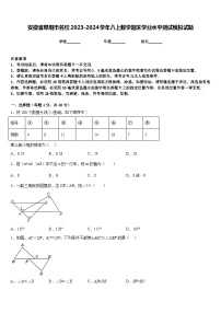 安徽省阜阳市名校2023-2024学年八上数学期末学业水平测试模拟试题含答案