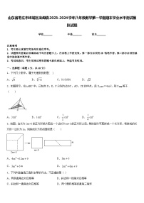 山东省枣庄市峄城区底阁镇2023-2024学年八年级数学第一学期期末学业水平测试模拟试题含答案