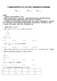 广东省陆丰市民声学校2023-2024学年八上数学期末学业水平测试试题含答案