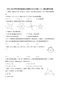 2023-2024学年吉林省通化市梅河口市九年级（上）期末数学试卷(含解析）