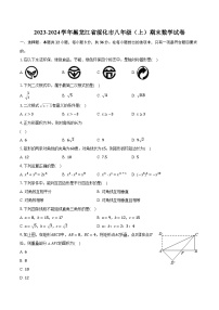 2023-2024学年黑龙江省绥化市八年级（上）期末数学试卷(含解析）