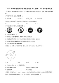 2023-2024学年黑龙江省绥化市明水县九年级（上）期末数学试卷(含解析）