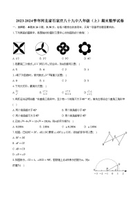 2023-2024学年河北省石家庄八十九中八年级（上）期末数学试卷(含解析）