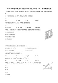 2023-2024学年黑龙江省绥化市明水县八年级（上）期末数学试卷(含解析）