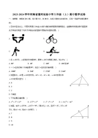 2023-2024学年河南省漯河实验中学八年级（上）期中数学试卷（含解析）