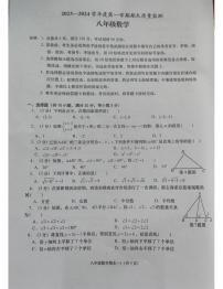 广东省揭阳市惠来县2023-2024学年八年级上学期1月期末数学试题