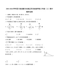 2023-2024学年四川省成都市双流区芯谷实验学校八年级（上）期中数学试卷(含解析）