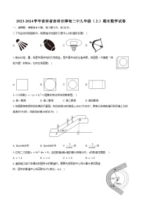 2023-2024学年吉林省吉林市桦甸二中九年级（上）期末数学试卷(含解析）