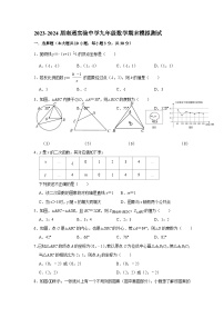 江苏省南通市实验中学2023-2024学年上学期九年级数学期末模拟测试卷