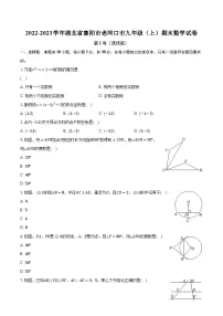 2022-2023学年湖北省襄阳市老河口市九年级（上）期末数学试卷（含解析）