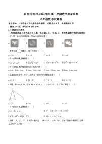 新疆维吾尔自治区昌吉回族自治州2023-2024学年八年级上学期期末数学试题(无答案)