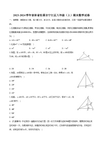 2023-2024学年吉林省松原市宁江区八年级（上）期末数学试卷（含解析）