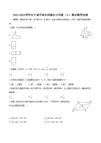 2023-2024学年辽宁省丹东市凤城市九年级（上）期末数学试卷（含解析）