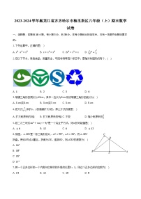 2023-2024学年黑龙江省齐齐哈尔市梅里斯区八年级（上）期末数学试卷（含解析）