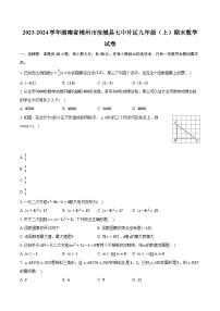 2023-2024学年湖南省郴州市汝城县七中片区九年级（上）期末数学试卷-普通用卷