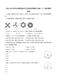 2022-2023学年山西省阳泉市平定县张庄联校九年级（上）期末数学试卷（含解析）