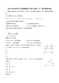 2023-2024学年辽宁省阜新重点中学九年级（上）期中数学试卷（含解析）