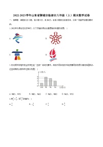 2022-2023学年山东省聊城市临清市八年级（上）期末数学试卷（含解析）