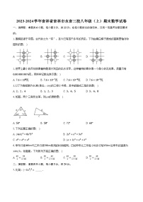 2023-2024学年吉林省吉林市永吉三校八年级（上）期末数学试卷（含解析）