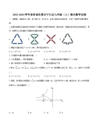 2023-2024学年吉林省松原市宁江区九年级（上）期末数学试卷-普通用卷