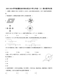 2023-2024学年新疆昌吉州奇台重点中学九年级（上）期末数学试卷（含解析）