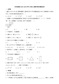 江苏省苏州高新区2023—2024学年上学期七年级数学期末模拟试卷