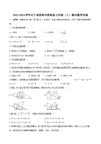 2023-2024学年辽宁省铁岭市铁岭县七年级（上）期末数学试卷（含解析）