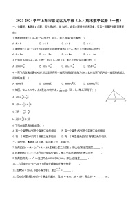 2023-2024学年上海市嘉定区九年级（上）期末数学试卷（一模）（含解析）