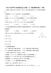 2023-2024学年上海市嘉定区九年级（上）期末数学试卷（一模）（含解析）