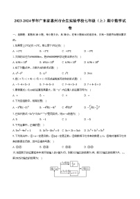 2023-2024学年广东省惠州市合生实验学校七年级（上）期中数学试卷（含解析）