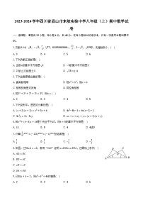 2023-2024学年四川省眉山市东坡实验中学八年级（上）期中数学试卷（含解析）