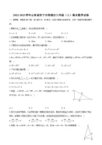 2022-2023学年山东省济宁市邹城市八年级（上）期末数学试卷（含解析）